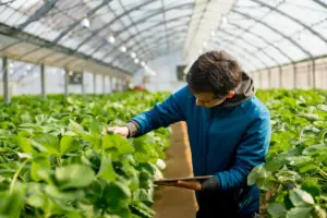 Met Donna Voice-AI brengt Biobest klantinformatie sneller samen in SAP Sales Cloud