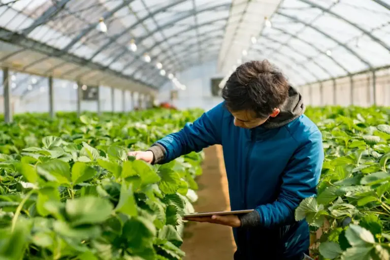 Met Donna Voice-AI brengt Biobest klantinformatie sneller samen in SAP Sales Cloud